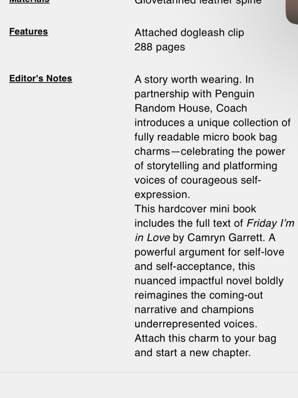 Coach storybook bag charm Friday I’m in love Camryn Garrett pride - Picture 12 of 13